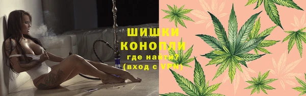 сатива Бронницы