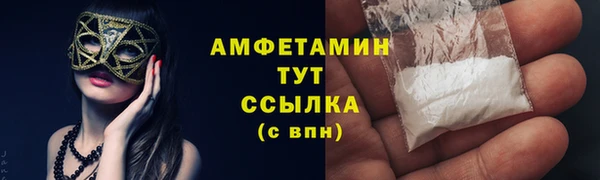 сатива Бронницы