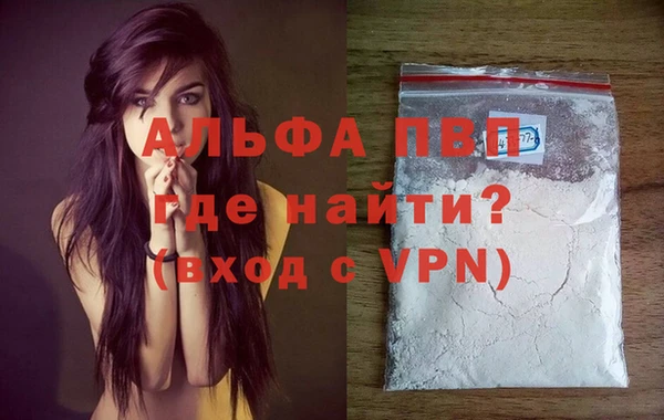 сатива Бронницы