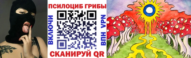 Галлюциногенные грибы Psilocybine cubensis  Верхний Тагил 